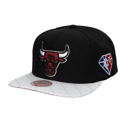 Chicago Bulls 75th Platinum Mitchell & Ness Snapback